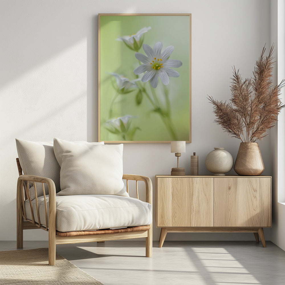 Lente schittering | Poster