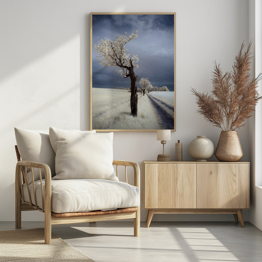 IRenka | Poster