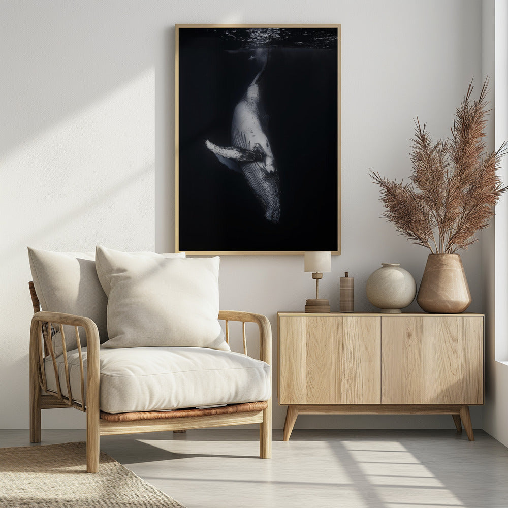 Zwarte Walvis | Poster