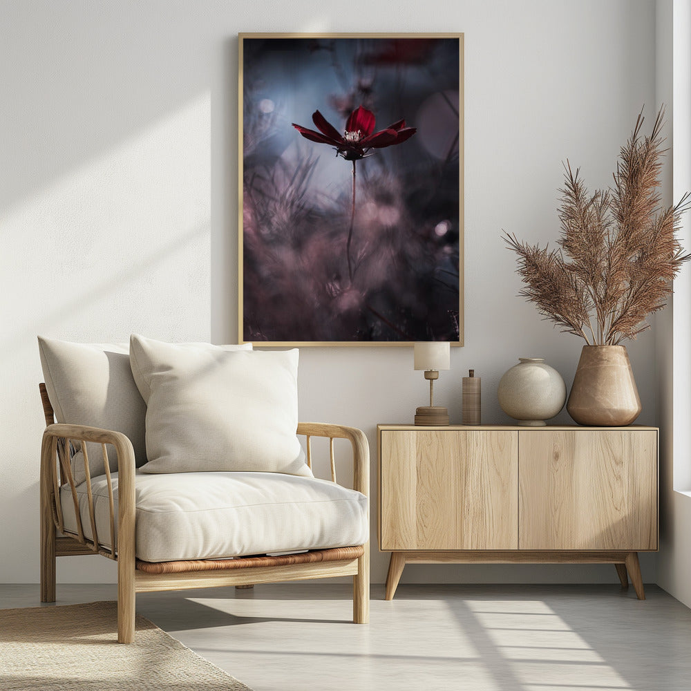 Avondjurk | Poster