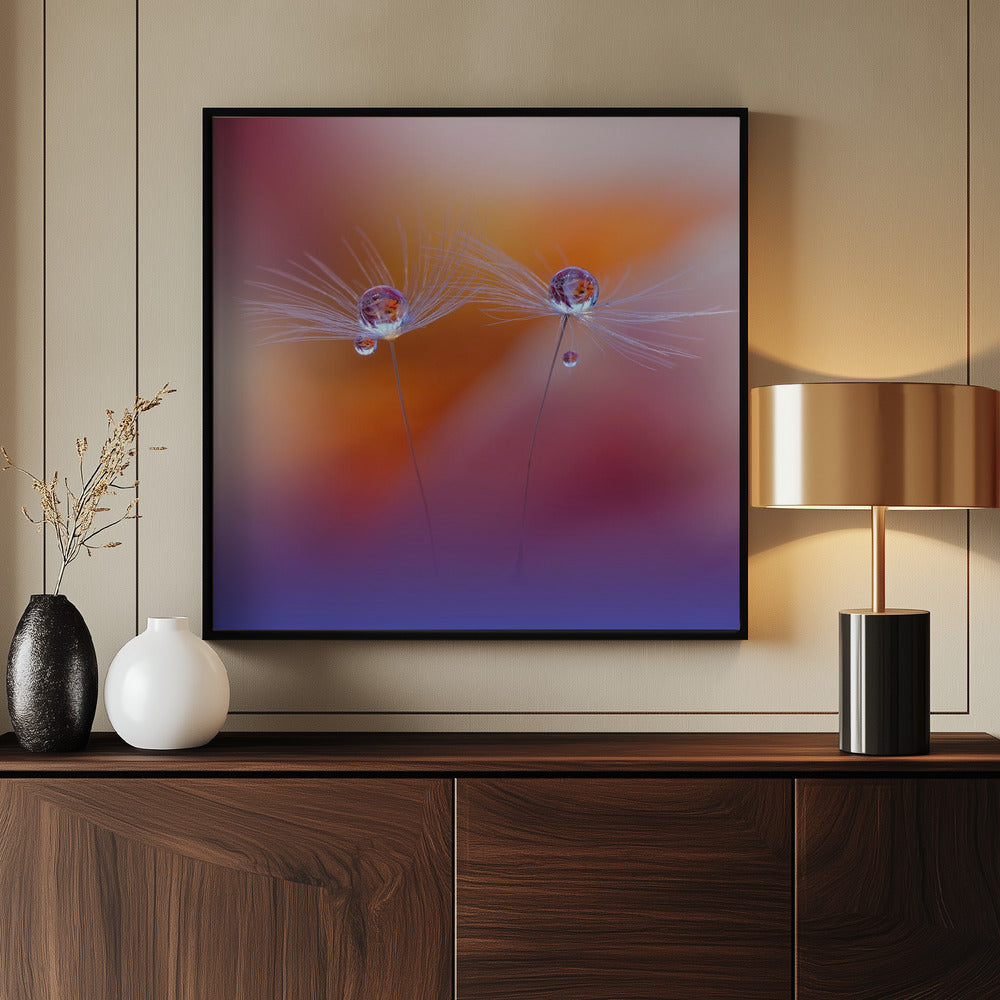 Twee werelden | Poster