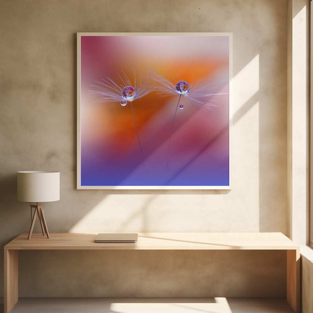 Twee werelden | Poster