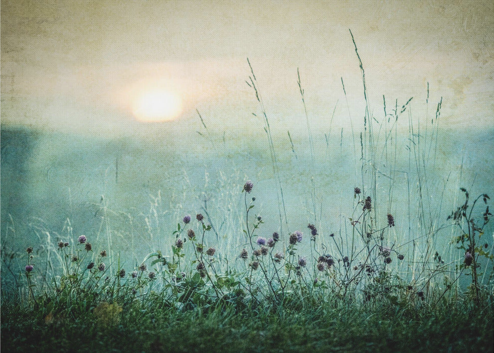 Herfstzonsopgang | Achtergrond