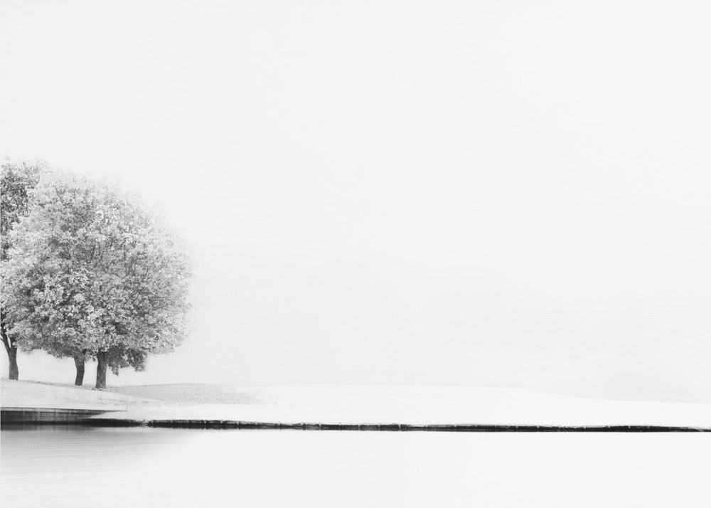 Verenigd #2 | Canvas