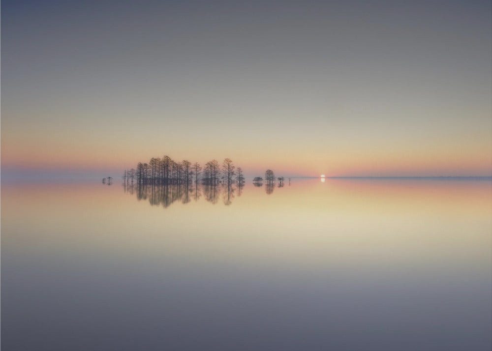 Herinnering aan Lake Mattamuskeet | Poster