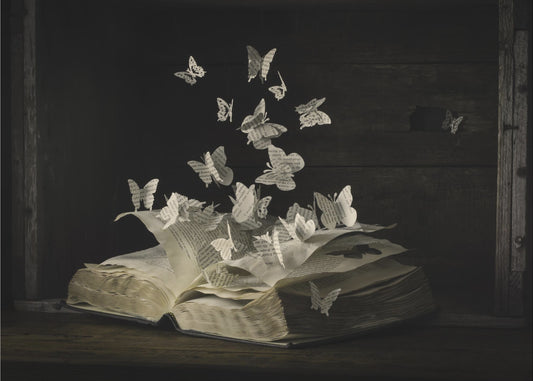 Lepidopterologie | Canvas