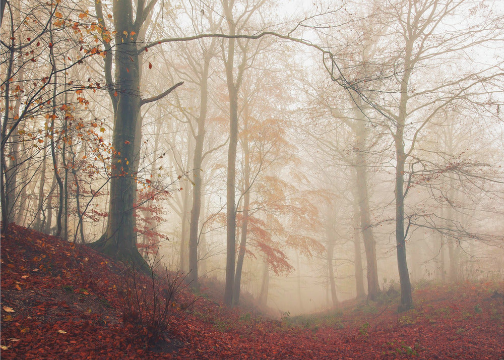 Wachten op het hert. | Canvas
