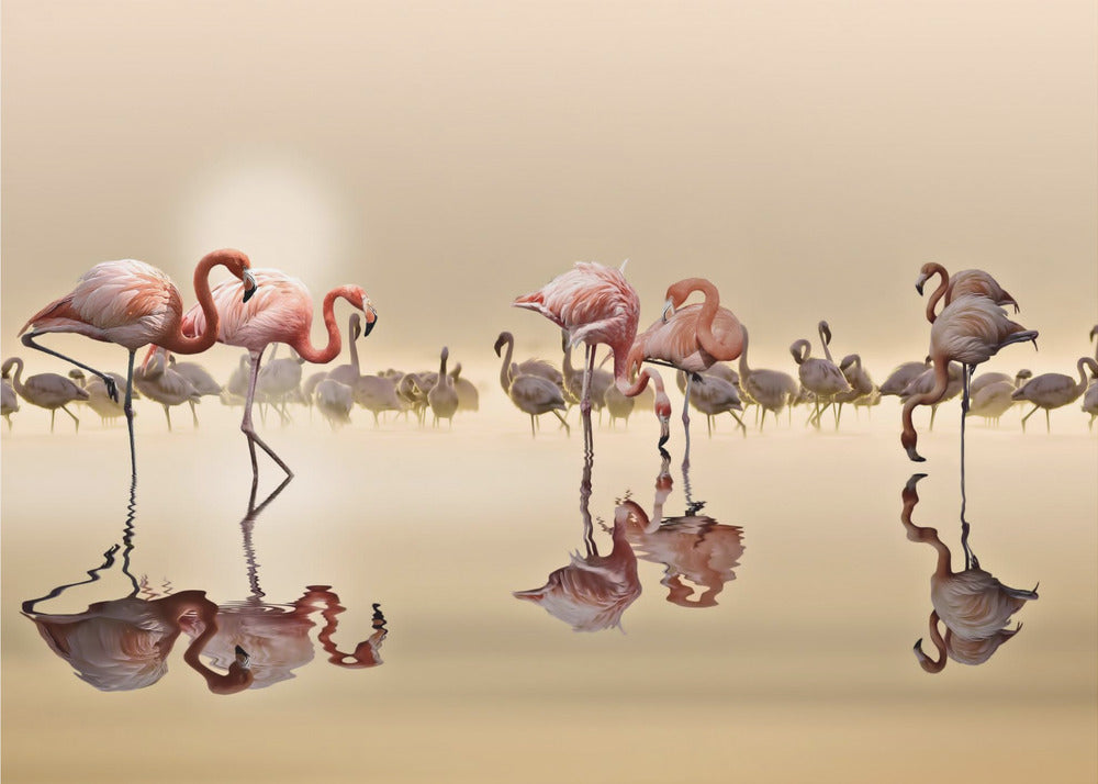 FLAMINGO'S | Canvas