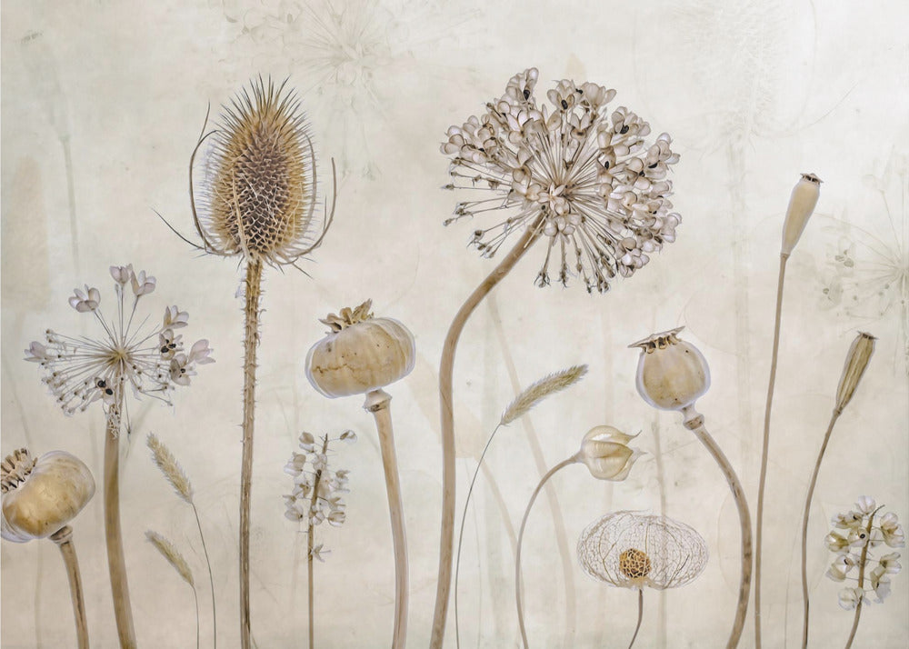 Oud worden | Canvas