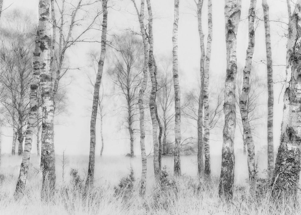 Black and white | Canvas