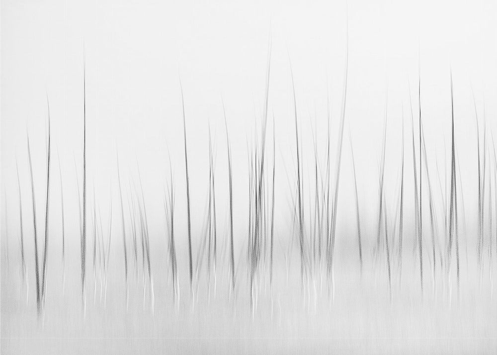 Winterlandschap in Yellowstone | Canvas