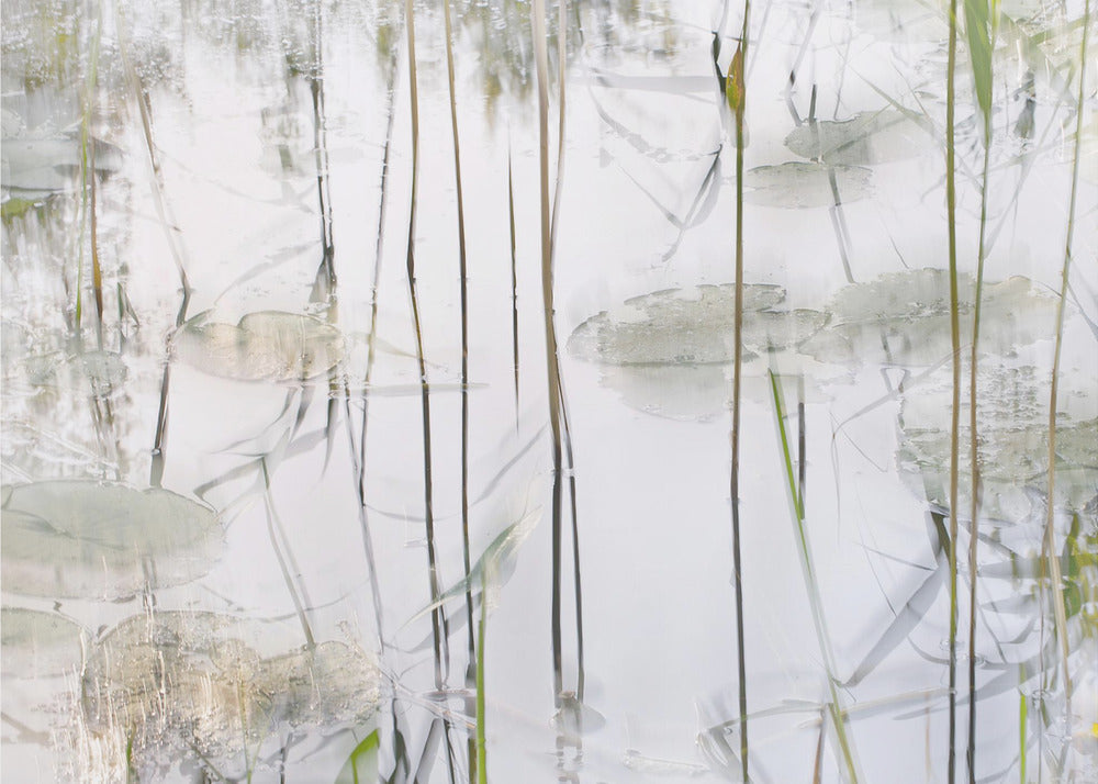 Leliebladeren | Canvas
