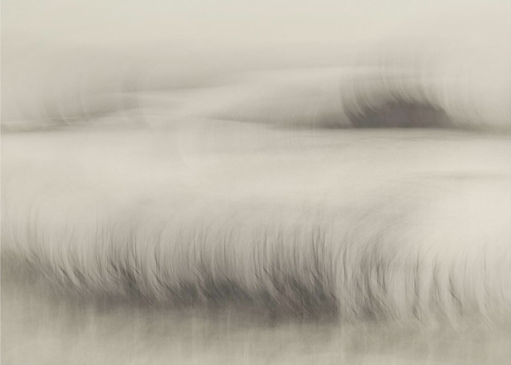 Waterkant | Poster