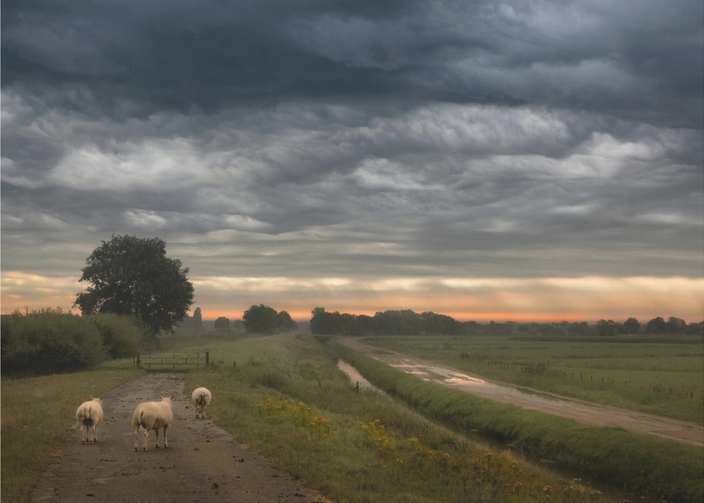 Wuivende wolken | Poster