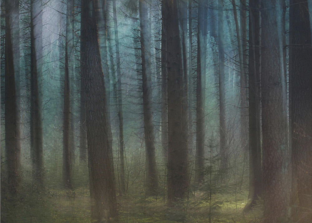 Blauw licht | Poster