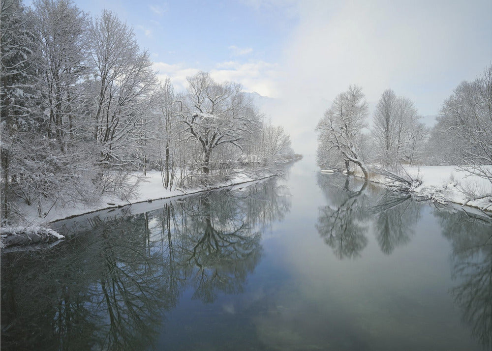 Winter | Canvas