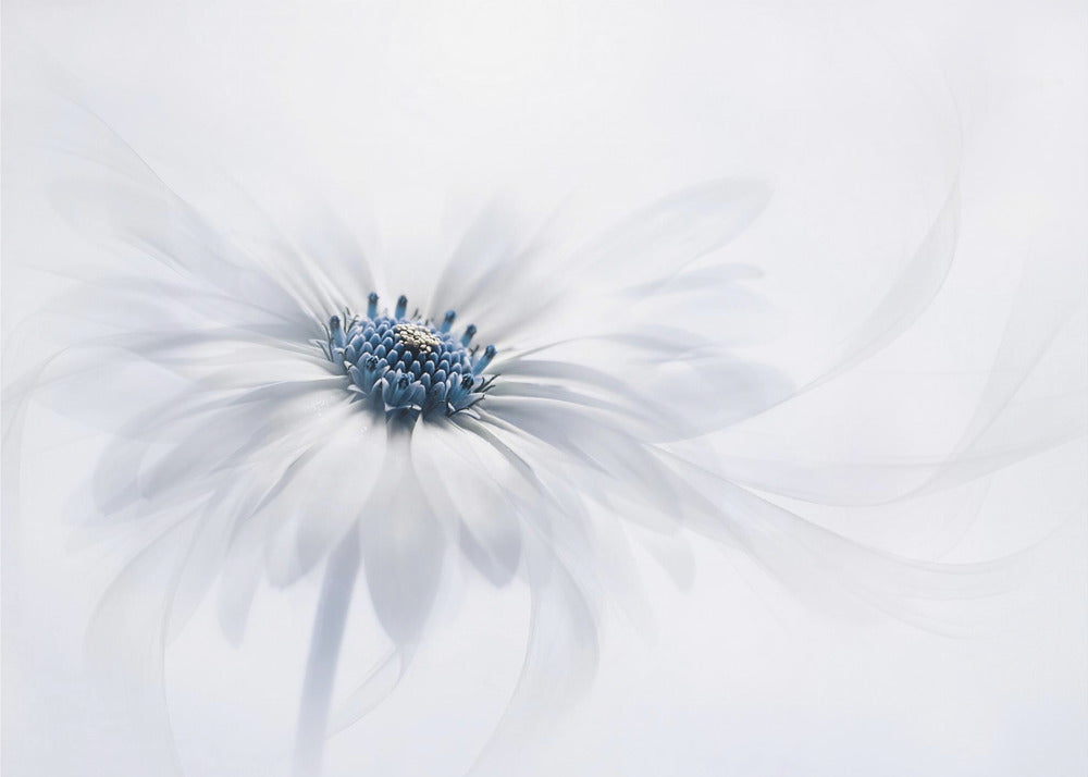 Sereniteit | Canvas