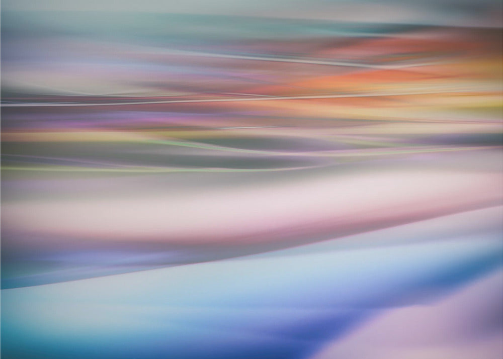Untitled | Canvas