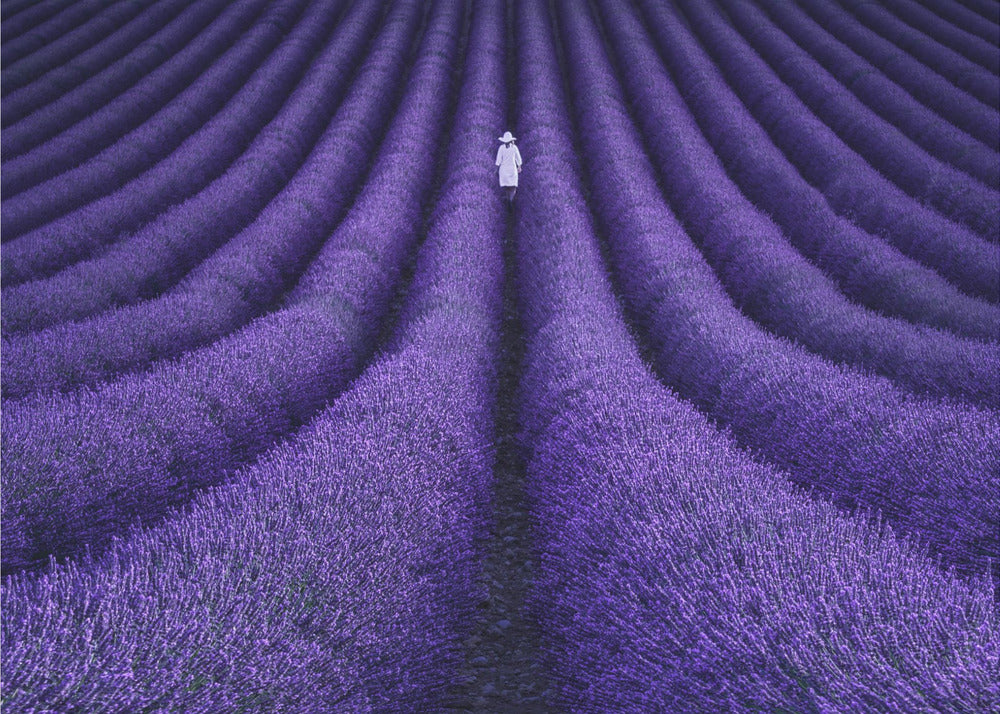 ZIJ | Canvas