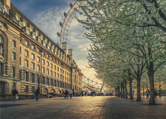 Last Daylights at the London Eye | Canvas