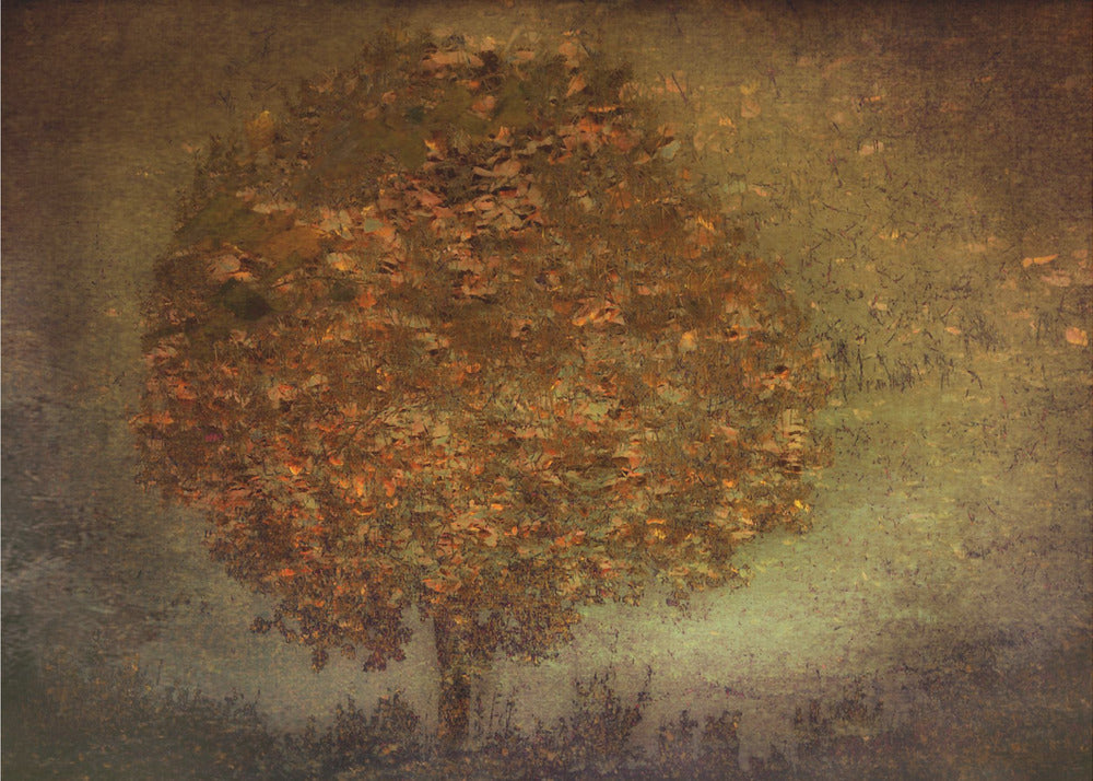 Autumn Tree | Canvas