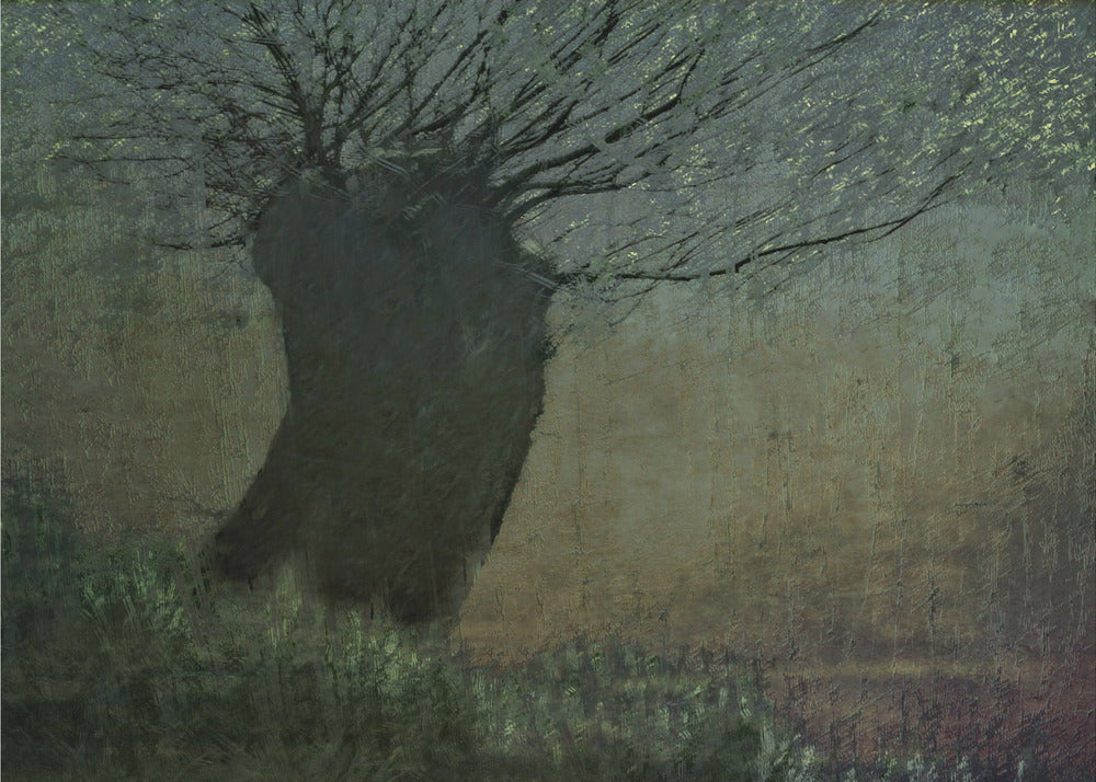 Wilg aan het water | Canvas