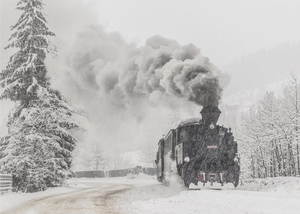 Winter story | Canvas