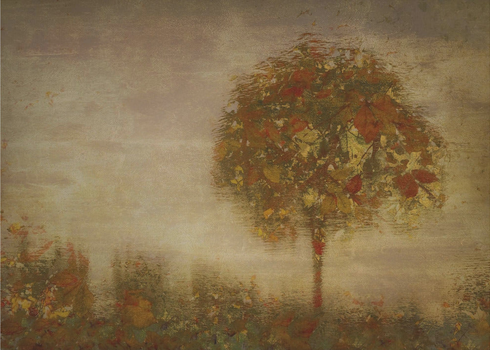 Fantasy 2 | Canvas