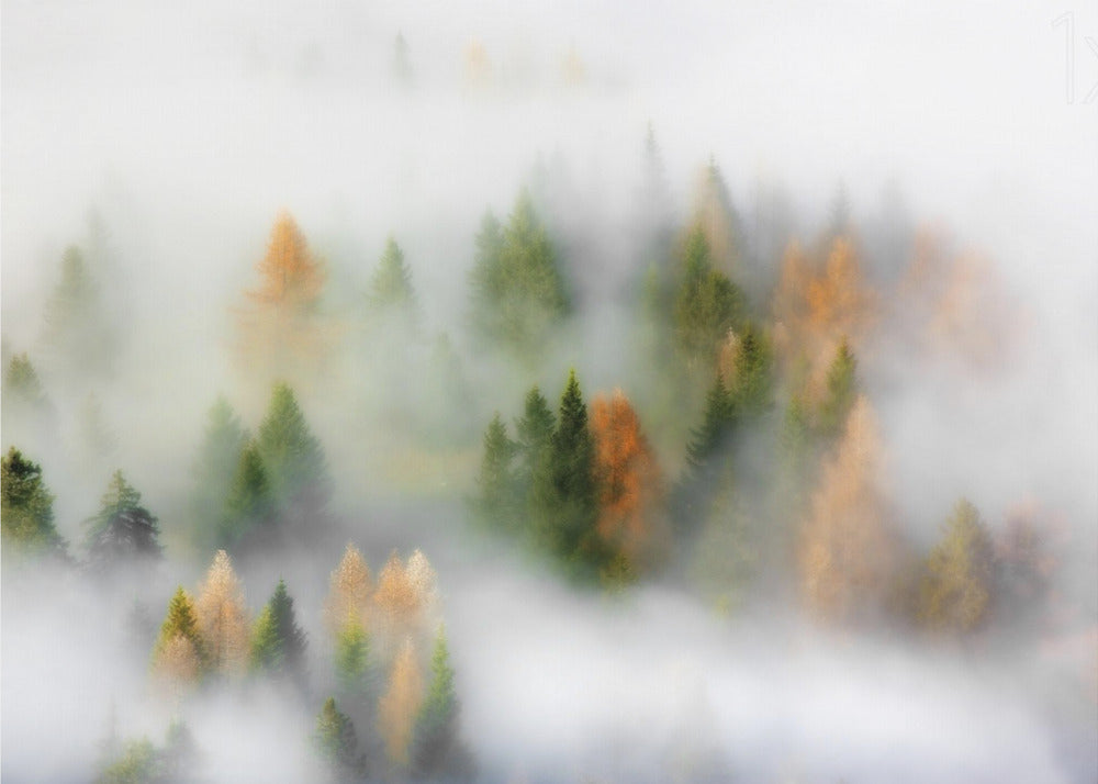 Herfstdroom | Canvas