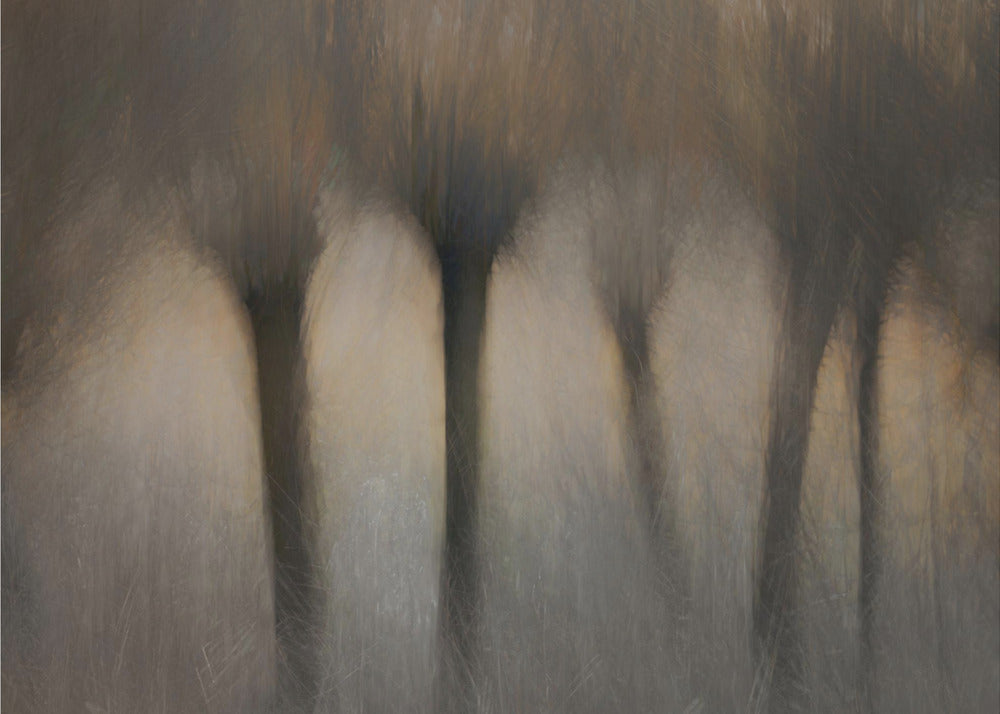 Knotwilgen | Canvas