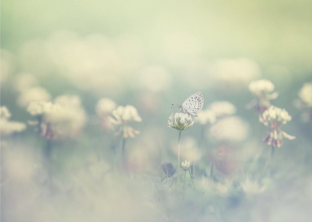 small world | Canvas