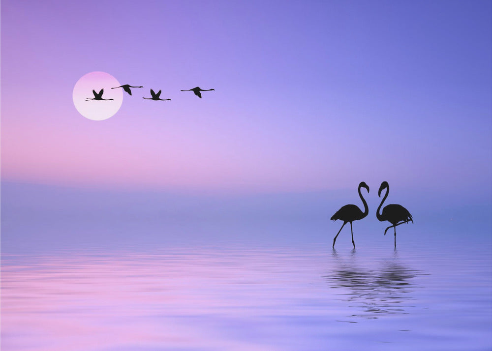Vliegende flamingo | Canvas