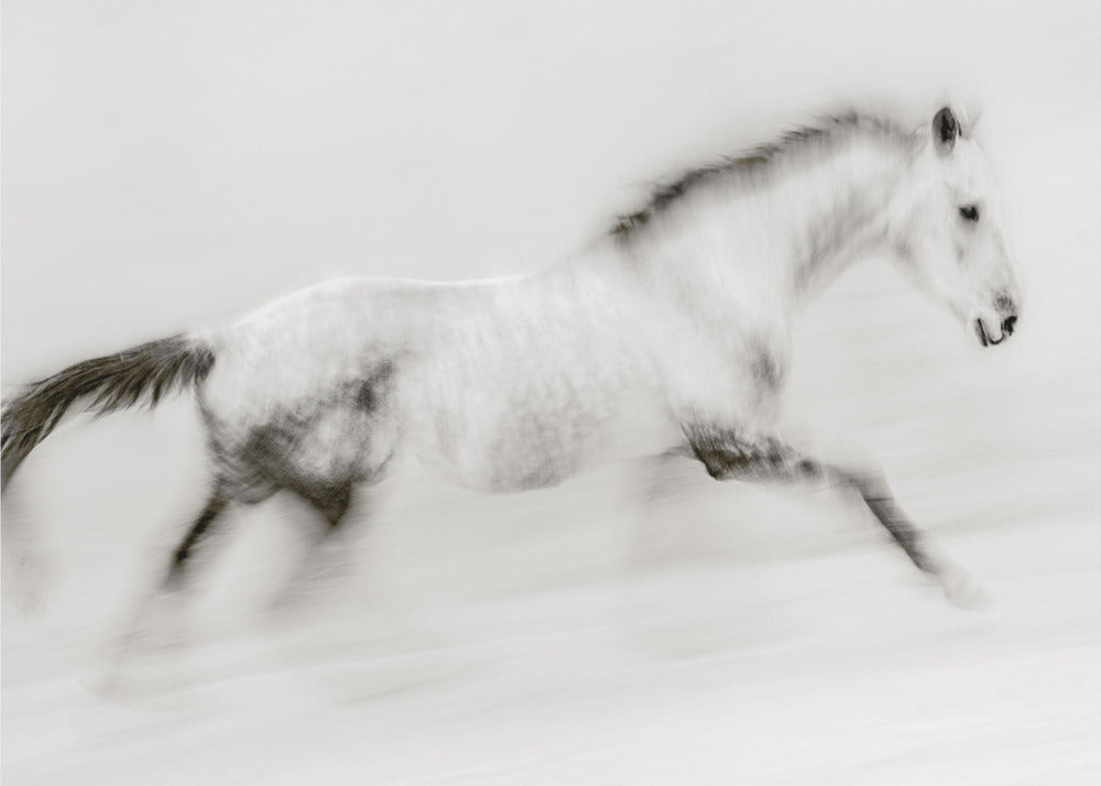 De unieke penseelstreek | Canvas