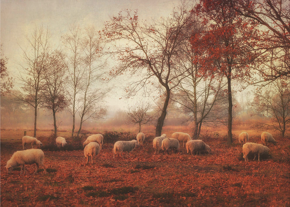 Laatste dagen van de herfst | Behang