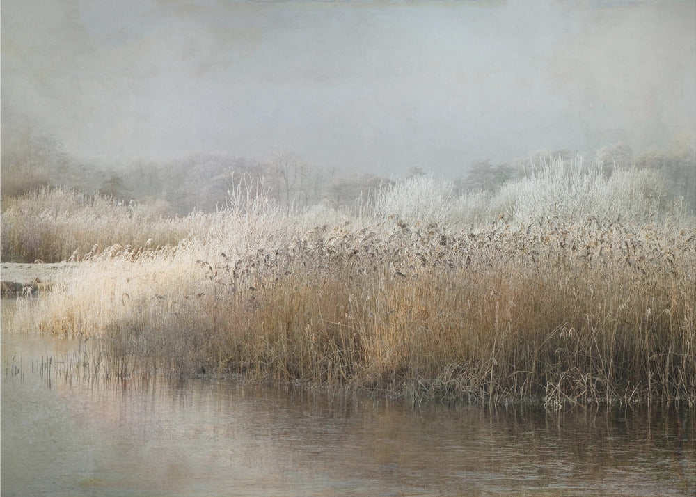 Winterochtend | Behang
