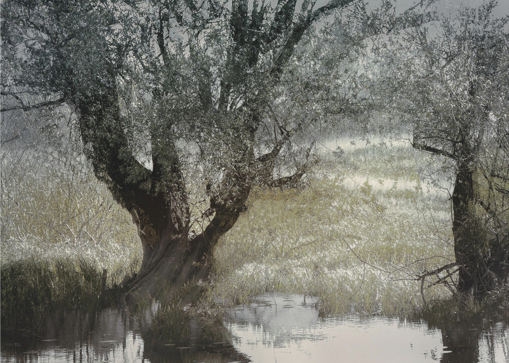 Aan de waterkant | Canvas