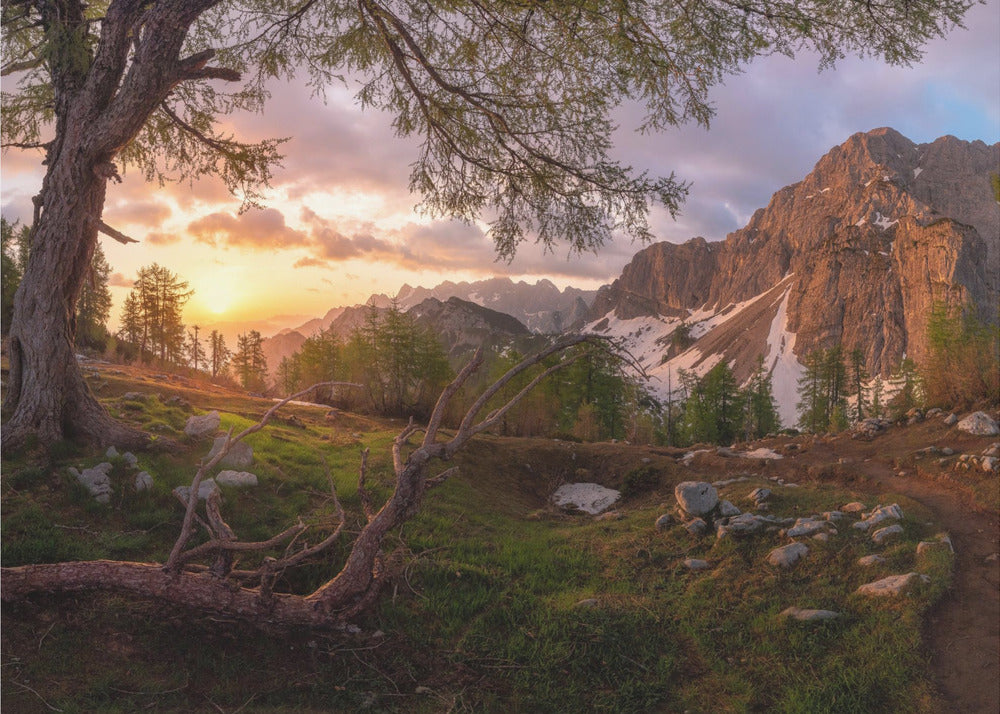 Magical morning | Canvas