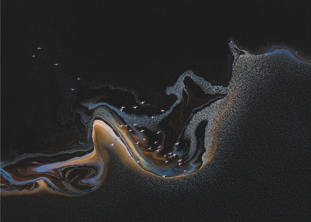 Flamingo over meer | Behang