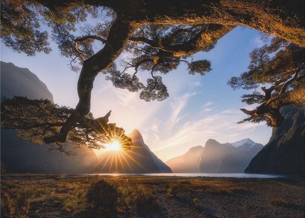 Zonnige dag in Milford Sound | Poster