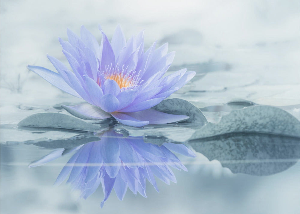 Reflection | Canvas