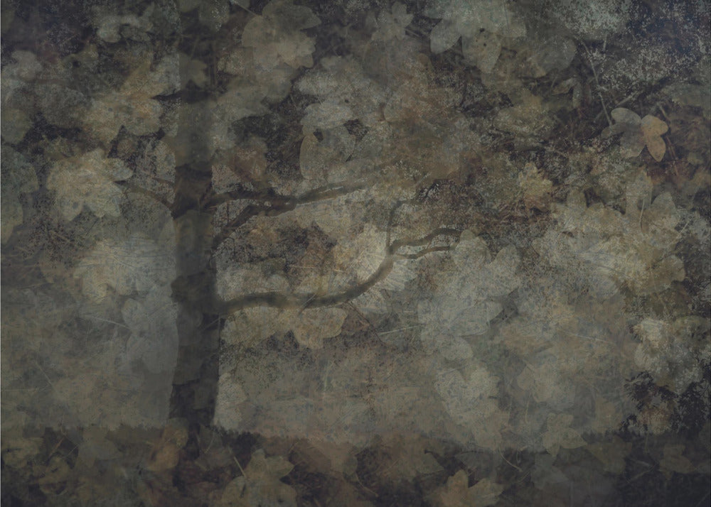 Donker bos | Canvas