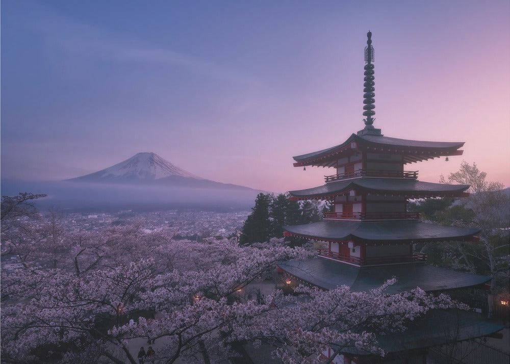 Berg Fuji Sakura | Achtergrond