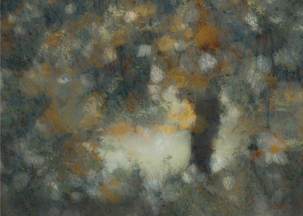 Doorkijken | Canvas