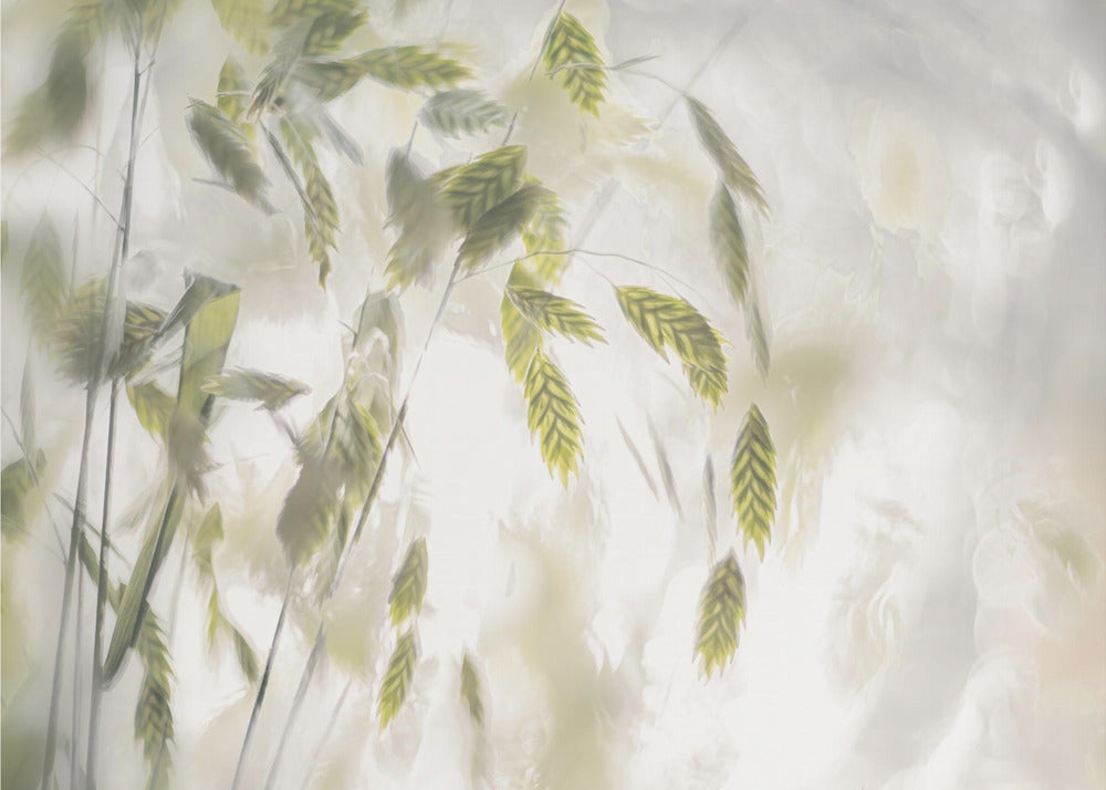 Grasbladen | Canvas