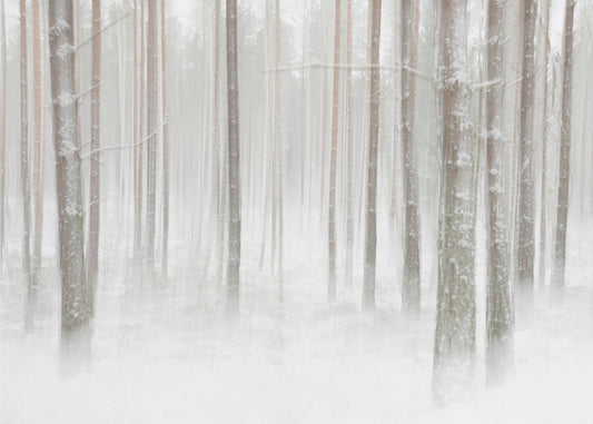 Winterbos in Zweden | Canvas
