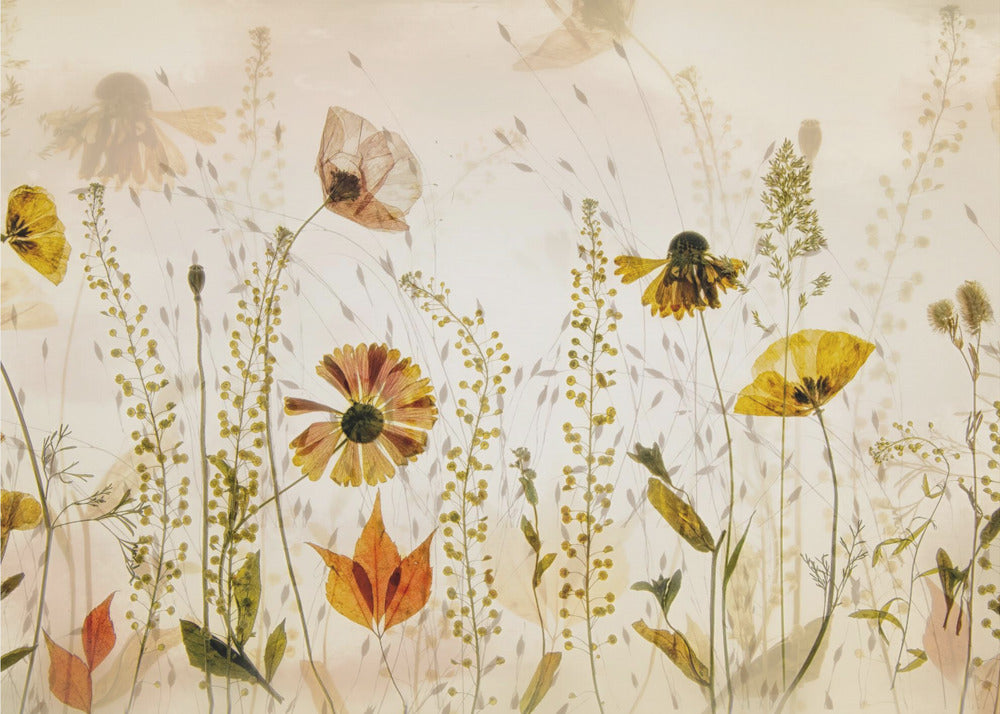 In het veld... | Behang