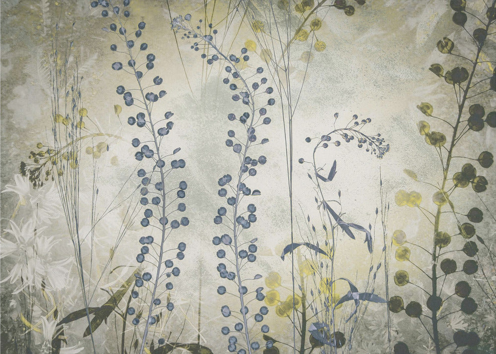 Fantasie | Canvas
