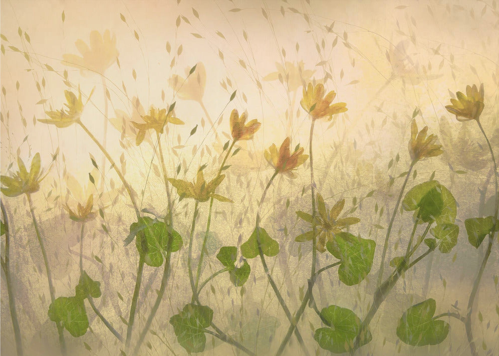 Zonnige bloemen | Canvas