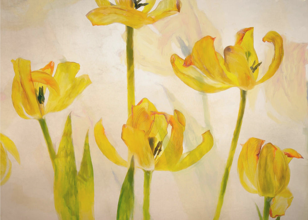 Bloeiende tulpen | Canvas