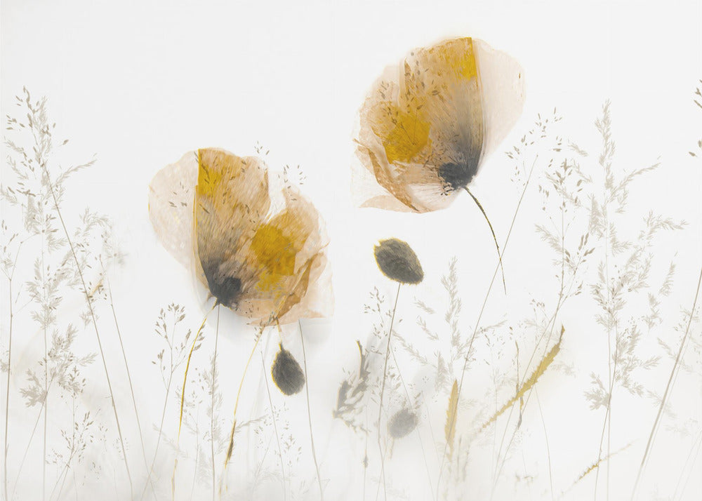 Subtle... | Canvas